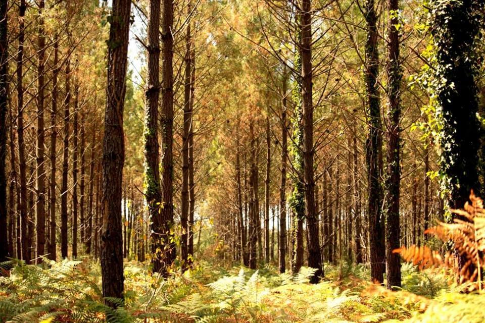 Апартаменти 2 Coeurs 2 Landes Garrosse Екстер'єр фото